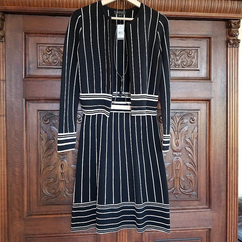 NWT Ann Taylor Striped Sweater & Skirt Set